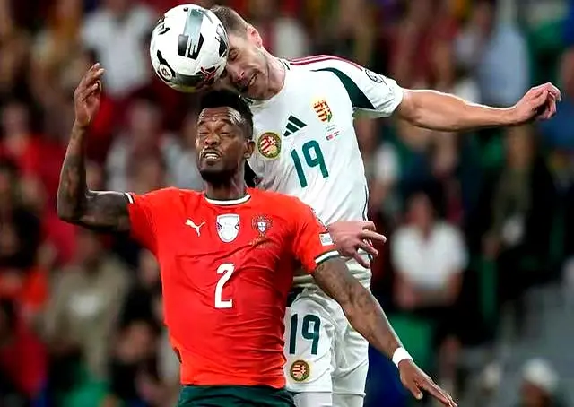 迷们的心情, 这段经历都 迷们的心情, 这段经历都